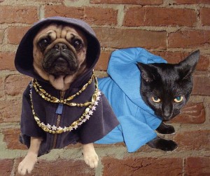 http://acidcow.com/pics/18536-pug-thugs-16-pics.html