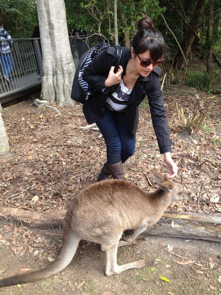 A picture of me with a kangaroo in Australia